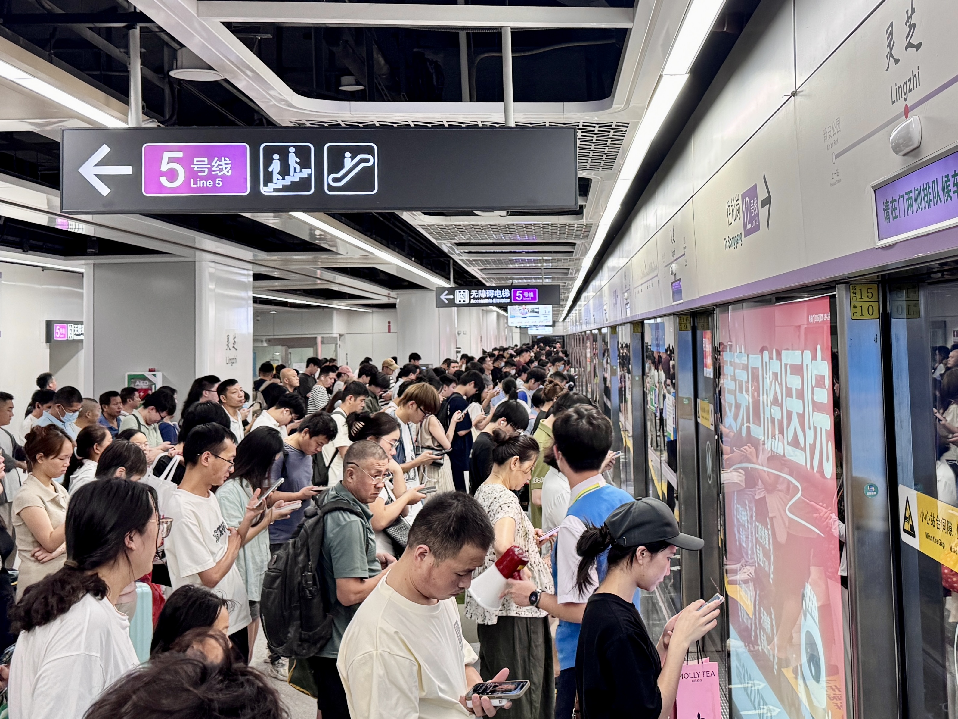 1789984228150092589.jpg 12号线灵芝站.jpg